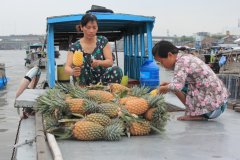 13-Peeling pineapples for us